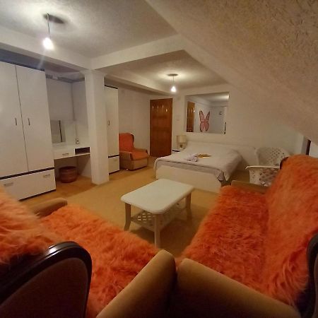 Apartment Little Village Плав Экстерьер фото